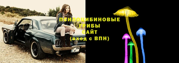 СК Алексин
