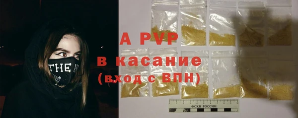СК Алексин