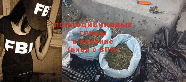 СК Алексин