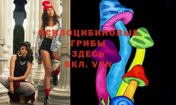 СК Алексин